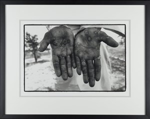 Image description is not available for 2008.015